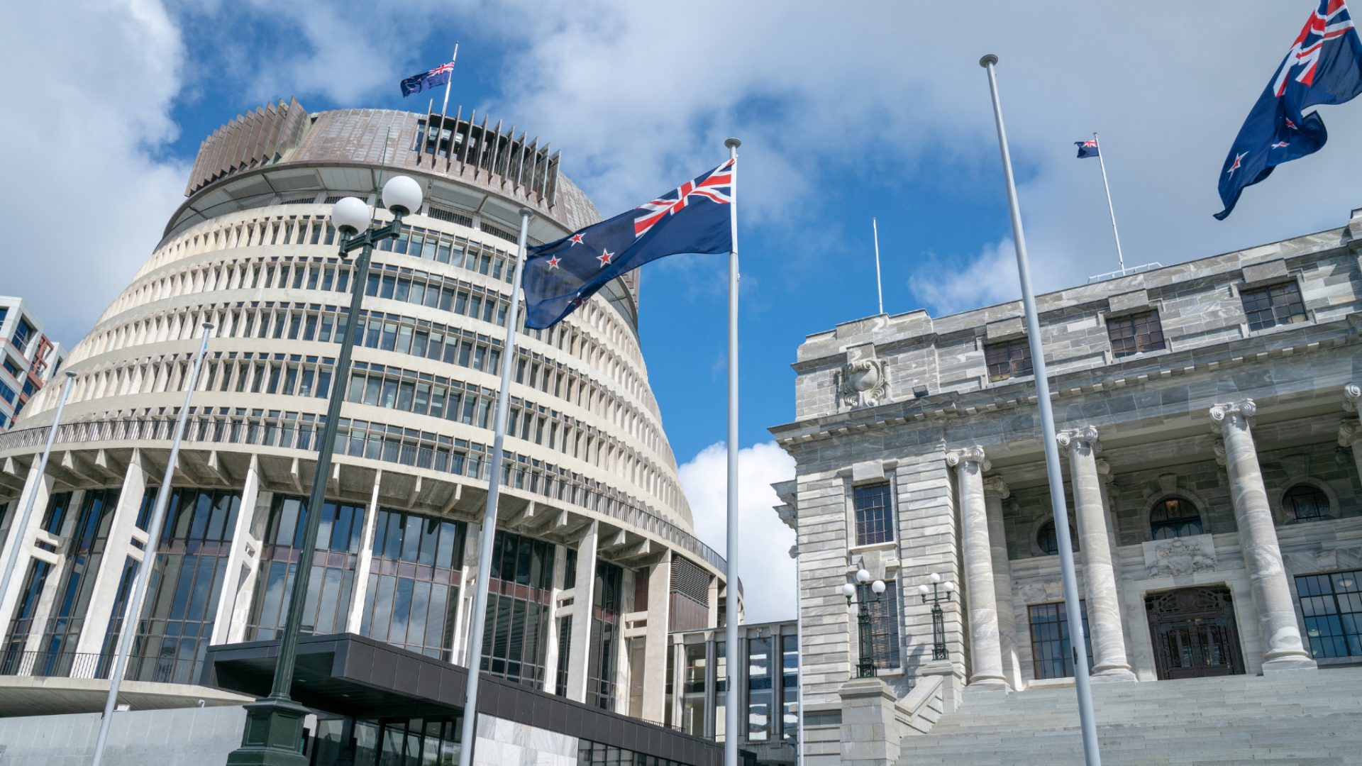 Consolidated Tenders Launches New Zealand’s All-of-Government Procurement System, Procure Connect