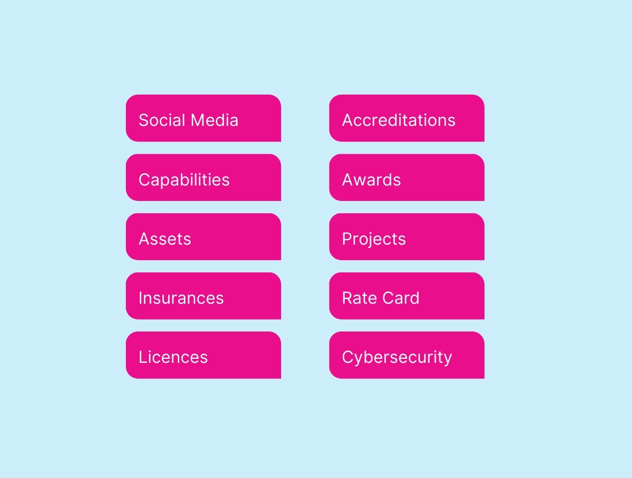 Government Supplier Capabilities